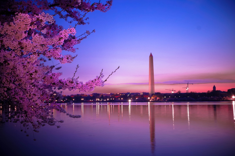 nature, sunrise, tree, magical, reflection, dusk, no people, water, factory, purple, 4K, beautiful, washingtonmonument, plant, landscape, sunset, spring