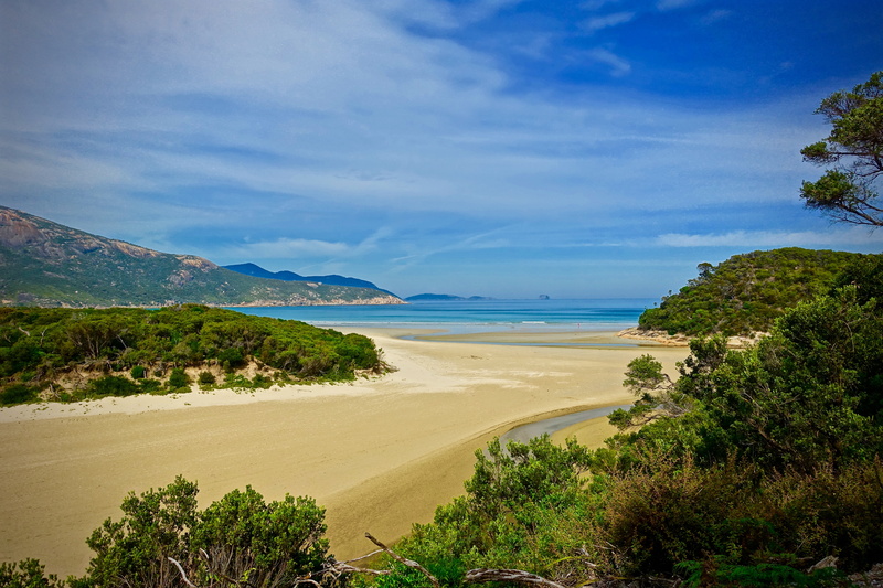 landscape, travel destinations, beach, no people, outdoors, sea, tree, looking at view, tranquility, environment, scenery, coast, 5K, tranquil scene, cloud - sky