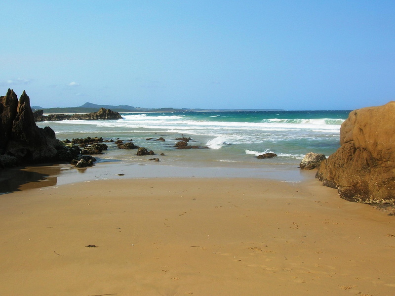 outgoing, tide, water, shells, 3d and abstract, ocean, surf, sand, 1080P, tranquil, rocks, peaceful, tidal