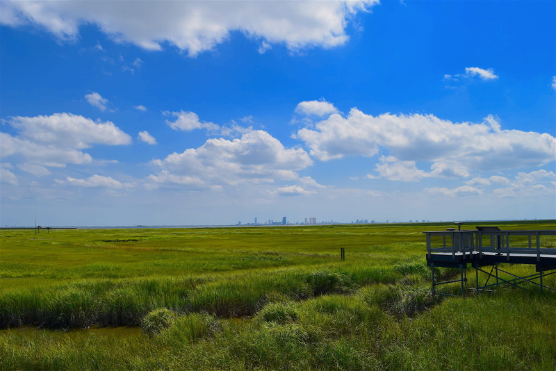 scenic, scenics - nature, horizon over land, estuary, horizon, beauty in nature, marsh, tidal, plant, rural, shore, coastal, tranquility, outdoors, grass
