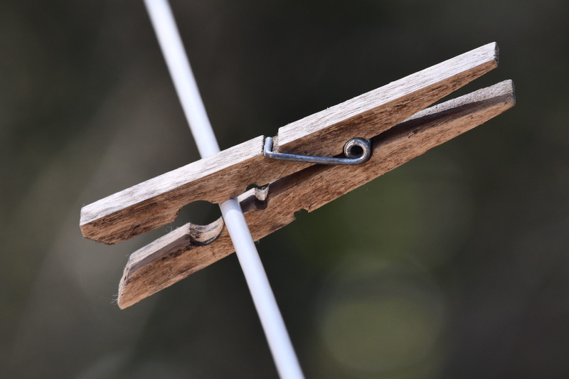 metal, equipment, hand saw, tool, selective focus, roll out, focus on foreground, brown, wood - material, hand tool, nature, plank, day, spring, laundry