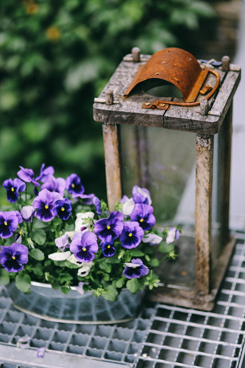 close-up, outside, vulnerability, built structure, garden, freshness, birdhouse, growth, various, wood - material, plant, no people, outdoors, summer, Miscellaneous
