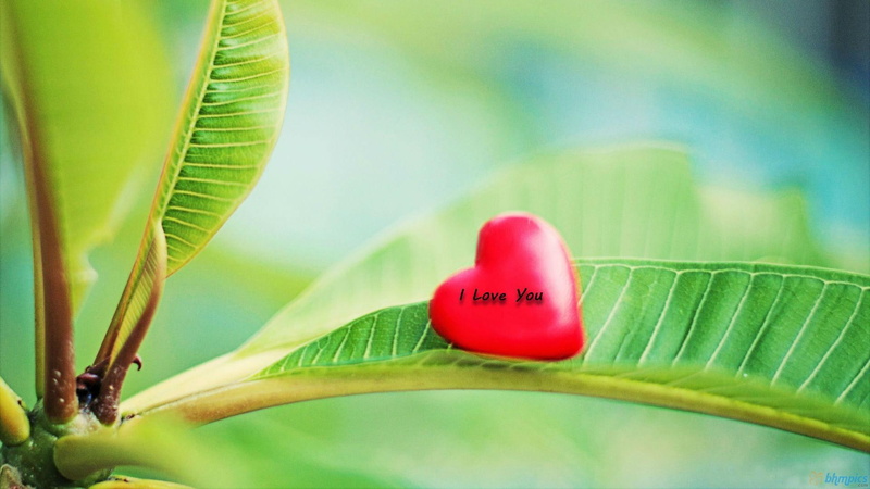 infinity, intimacy, together, nature, 1080P, love, green, small, forever, simple, fall, 3d and, always, heart, ve, l