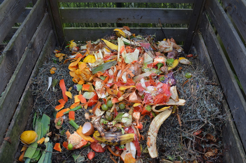 vegetable, compost, green waste, change, food and drink, meat, fruit, freshness, orange color, peels, day, nature, 5K, field, high angle view, no people