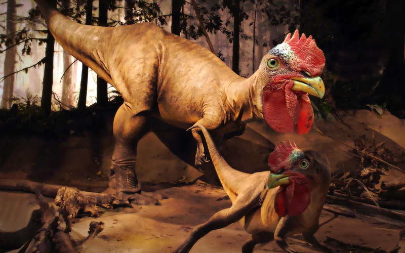 t, brown, dinosaur, 1080P, digital, rooster rex, invented, rex