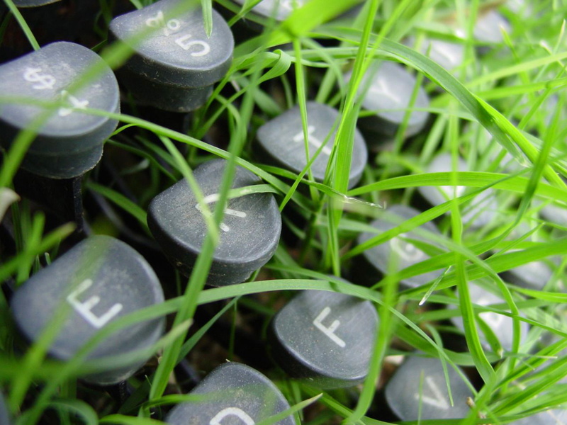 plants, grass, 720P, outdoors, typewriters