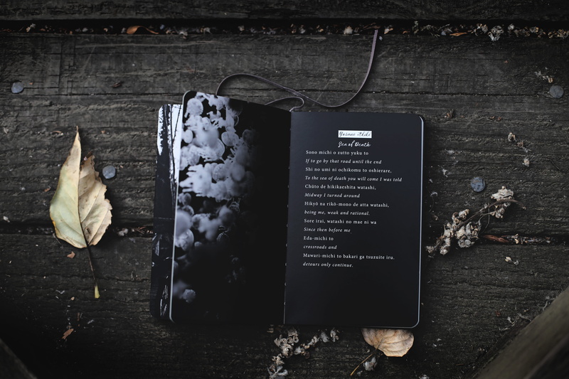 wooden, reading, book, fall, retro Styled, old-fashioned, moleskine, poetry, backgrounds, story, notebook, writing, black, old, nature, autumn, audio, wood - Material