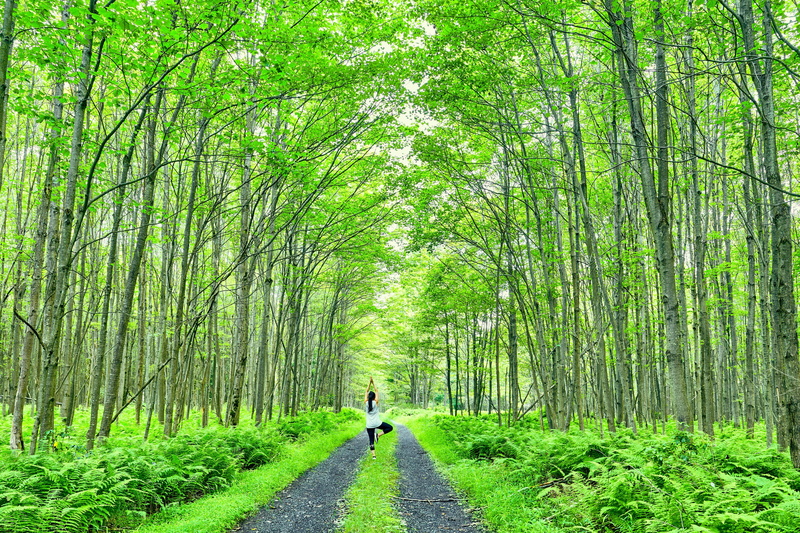 green, growth, trees, woodland, real people, bamboo - plant, flora, diminishing perspective, forest, pose, direction, thin, land, leaves, lifestyles, day