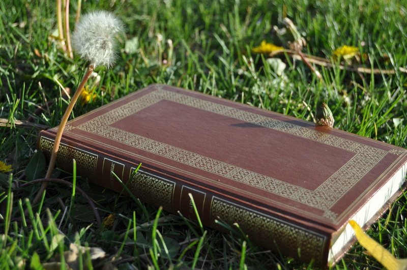 publication, mentor, green color, nature, study, book, wisdom, ethics, plant, day, focus on foreground, knowledge, think, republic, field, mindset, education