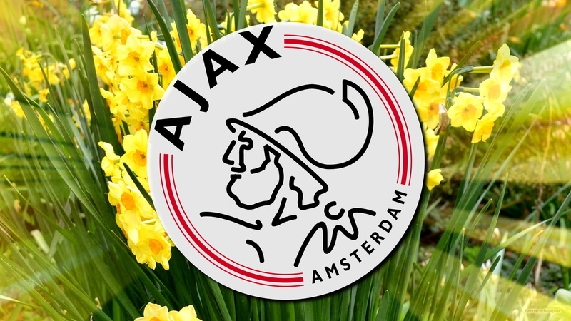 Emblem, Soccer, Logo, AFC Ajax, 1080P