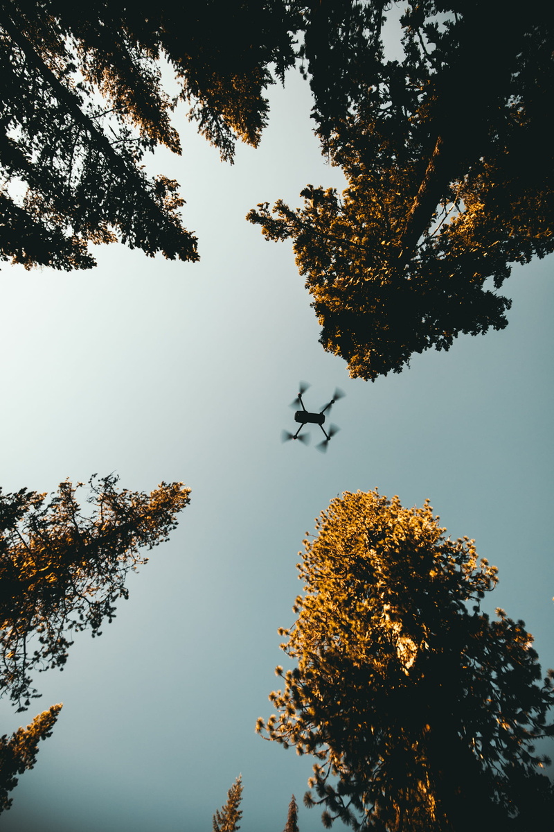 flying, drone, motivated, discovery, 2K, backgrounds, filmmaker, sky, silhouette, sunset, scenics, water, camera, outdoors, forest, travel, bird, black Color