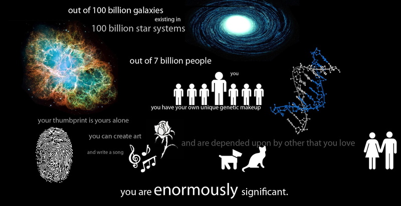 cats, posters, art, typography, text, galaxies, motivational, populati, black, couple, space, 1080P, background, dogs, hd, stars, human