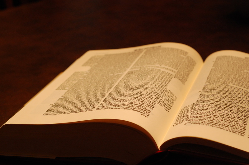 bible, text, indoors, education, open book, antique, open bible, wisdom, scripture, book, studying, colored background, reading, white, close-up, literature
