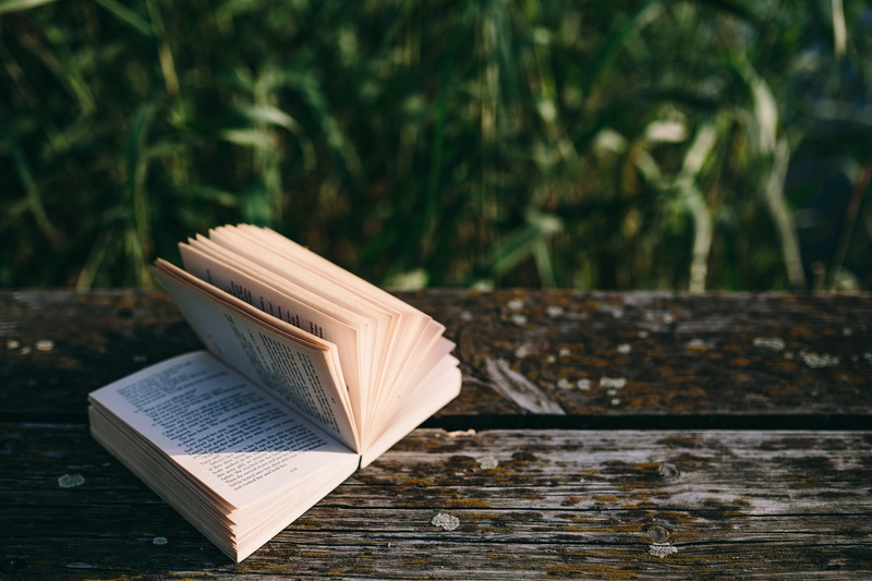 wooden boards, magic hour, day, evening, wooden pier, Reading book, plant, paper, old pier, selective focus, nature, wisdom, literature, reading, wood - Material