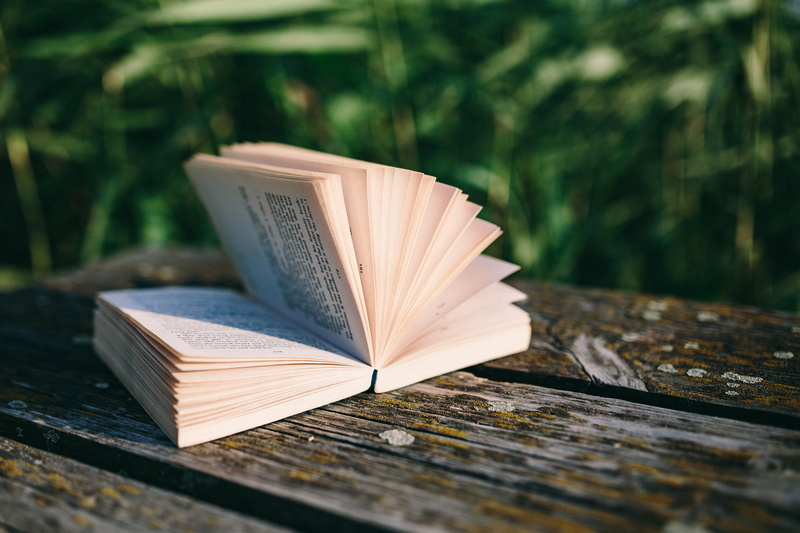 university, magic hour, opened notebook, day, nature, novel, summer, paper, old pier, open, hardcover Book, evening, time, creativity, textbook, pier, lake