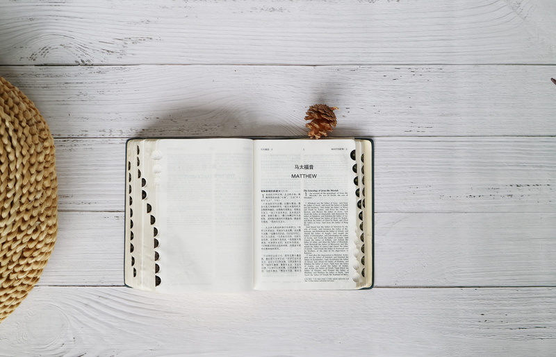 directly above, diary, brick, still life, holy, close-up, animal wildlife, religion, indoors, animal, insect, page, bible, faith, learn, brown, plant, white