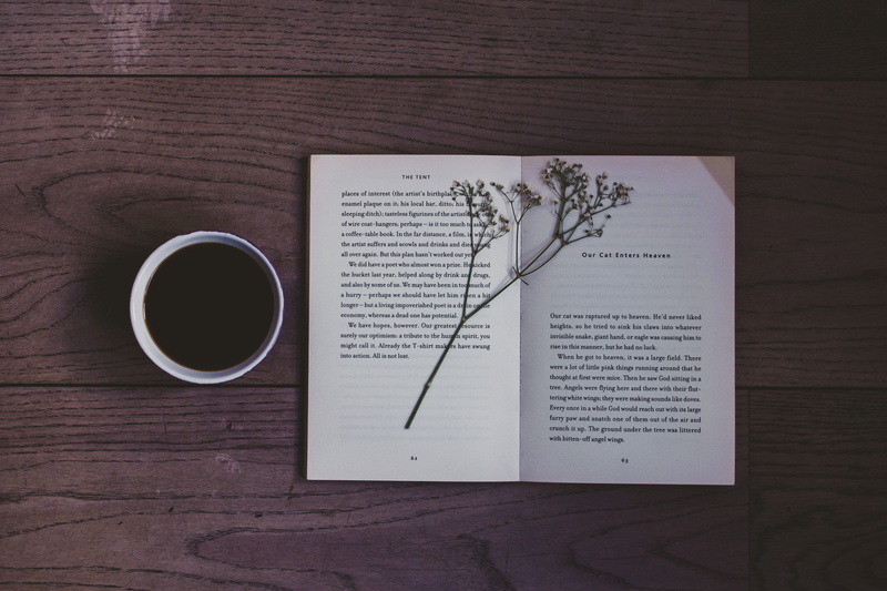 ambient, 4K, print, wooden, cafe, pages, flower, paper, coffee, coffee - Drink, light, flat lay, morning, white, literature, cup, moment, word, drink