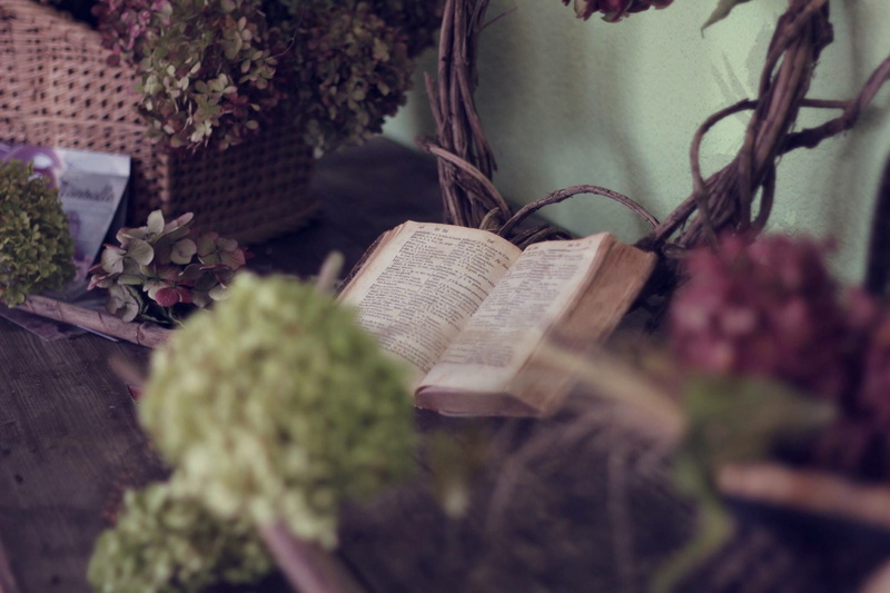 bible, container, paper, blur, no people, flower, red, garden, selective focus, hat, communication, day, open, green, bokeh, close-up, conservatory, table