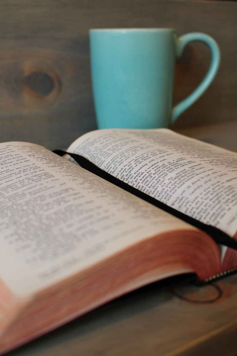 christianity, education, mug, selective focus, reading, drink, opened, close-up, bible, open book, learning, 5K, christian, still life, coffee cup, paper