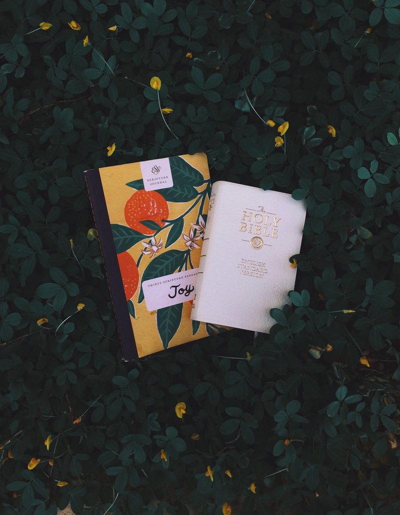 communication, foliage, dark, love, message, day, green, grass, books, note, holy, sign, leaf, bible, joy, holy bible, outdoors, leaves, high angle view
