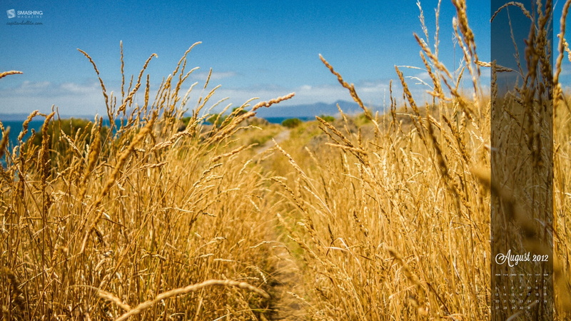 wheat, august, nature, calendar, smashing, magazine, 2K