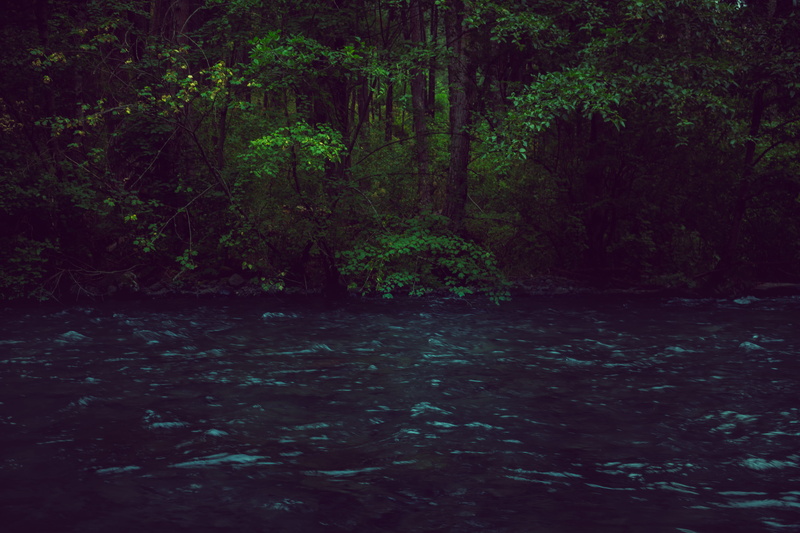 plants, nature, jungle, tree, water, woodland, tranquility, half-and-half, non-urban scene, green color, flowing water, milton-water, green, flowing, 4K