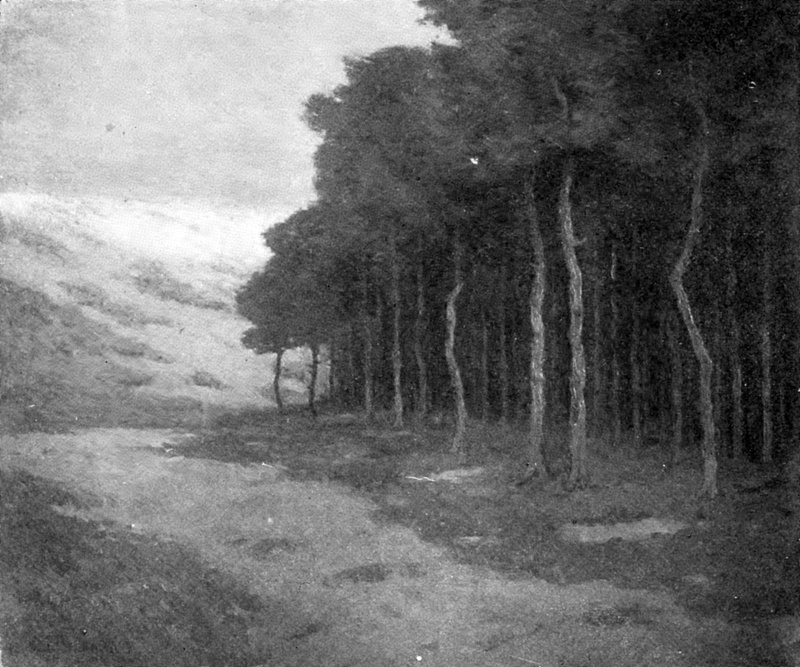 scenics - nature, scenics, outdoors, tree trunk, environment, 1080P, tranquil scene, black And White, forest, Pines, concepts And Ideas, beauty in nature