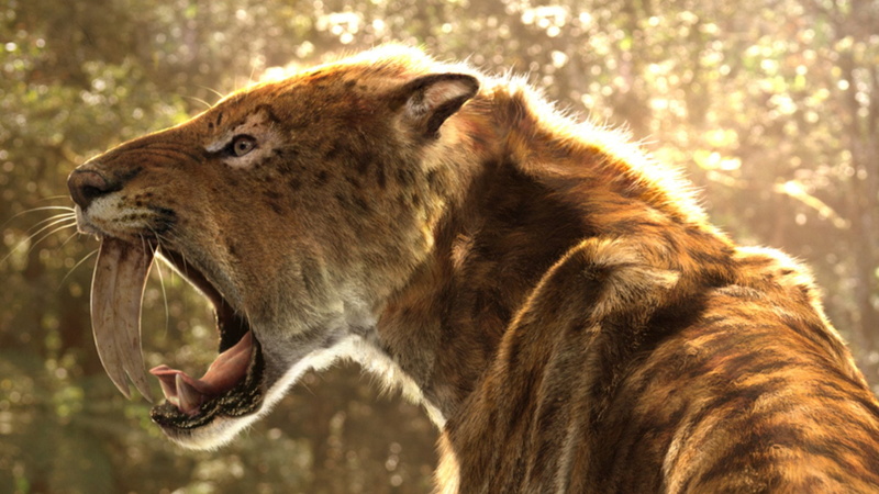1080P, Creature, Fantasy, Saber-Toothed Tiger