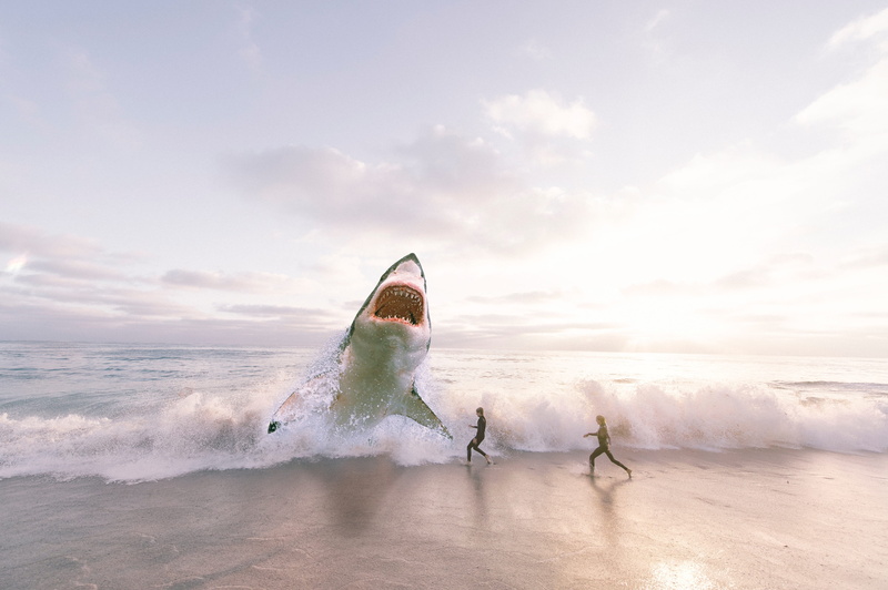 4K, scuba diving, sea, outdoors, beach, sea waves, whale, fishing, surfing, shark, white sharks, aquatic sport, running, shore, dangerous, land, idea