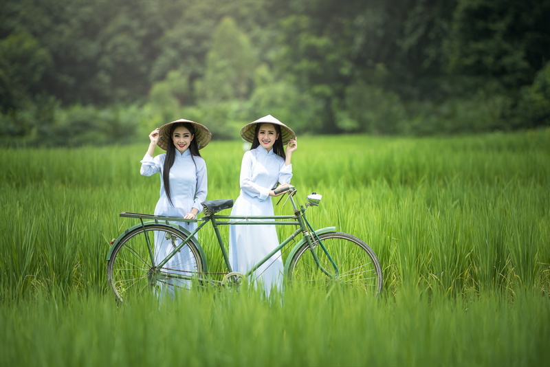 green color, transport, 5K, water, woman, people, men, geography, togetherness, asia, family, vietnamese, ancient, 7 days week, females, green, women