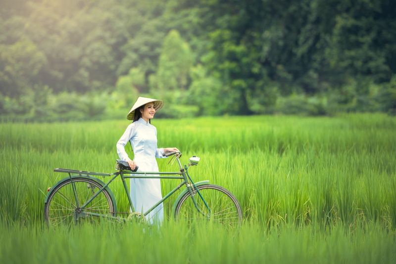 plant, woman, transport, field, danang, 7 days week, leisure activity, lifestyles, 5K, day, yellow, hats, nature, tour, one person, vietnamese, rural scene