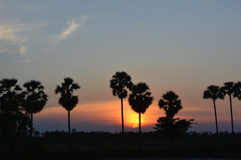non-urban scene, horizon, tranquility, 7 days week, plant, evening, shadow, light, sunset, landscape, nature, atmosphere, travel, beauty in nature, growth