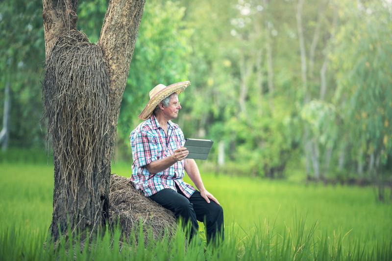 hairstyle, remote, computer, internet, twenty, the computer, operator, wheat, crops, leisure activity, adult, summer, harvesting, hair, casual clothing
