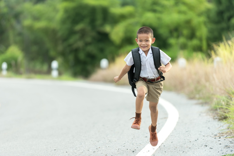 males, for the first time, child, one boy only, walking, the bag, road, jovial, day, looking at camera, well-dressed, human, full length, the elementary school