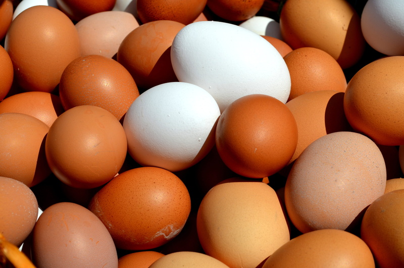 natural product, organic eggs, freshness, in a row, wellbeing, lots of eggs, stack, brown eggs, brown egg, hofladen, eggs, full frame, large group of objects