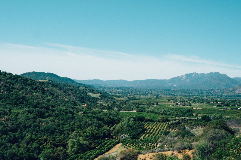 no people, day, field, environment, Ojai, aerial, mountain range, sky, daytime, white, green color, vineyards, mountain, scenics, outdoors, landscape, view