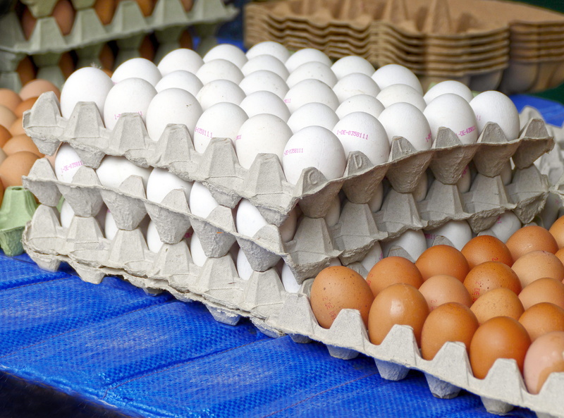 close-up, food and drink, lots of eggs, self-marketers, healthy eating, cardboard, nutrition, agriculture, hens egg, food-photography, wellbeing, raw egg