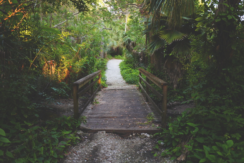 united states, road, forest, trees, florida, diminishing perspective, outdoors, tranquil scene, 5K, green color, plant, largo, narrow, railing, wooden