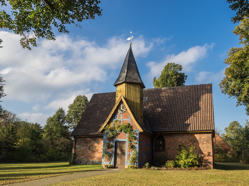 tree, building, sky, christianity, 4K, spirituality, plant, steeple, outdoors, belief, weathervane, chapel, sunlight, church, growth, john chapel, building exterior