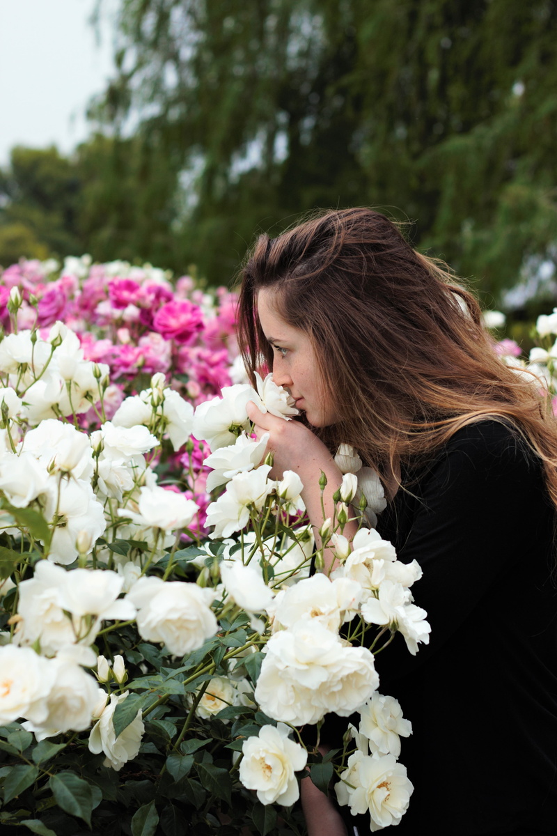 metaphor, symbol, 4K, one, happy, sniffing, creative, vulnerability, successful, thinking, girl, people, nature, dom, fragility, white, closeup, woman