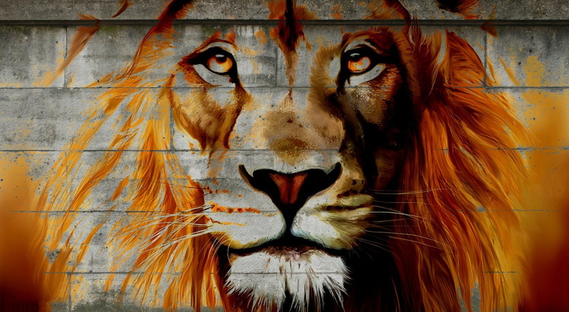 close-up, vertebrate, Graffiti, animal themes, wild, lion, cat, animal body part, lion - feline, 1080P, Artistic, portrait, street, animal wildlife, no people