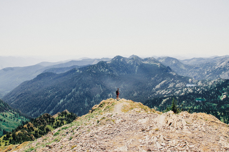 succeed, non-urban scene, pine woodland, tranquil scene, one man only, adults only, scenics - nature, accomplish, climb, freedom, tree, hiking, one person