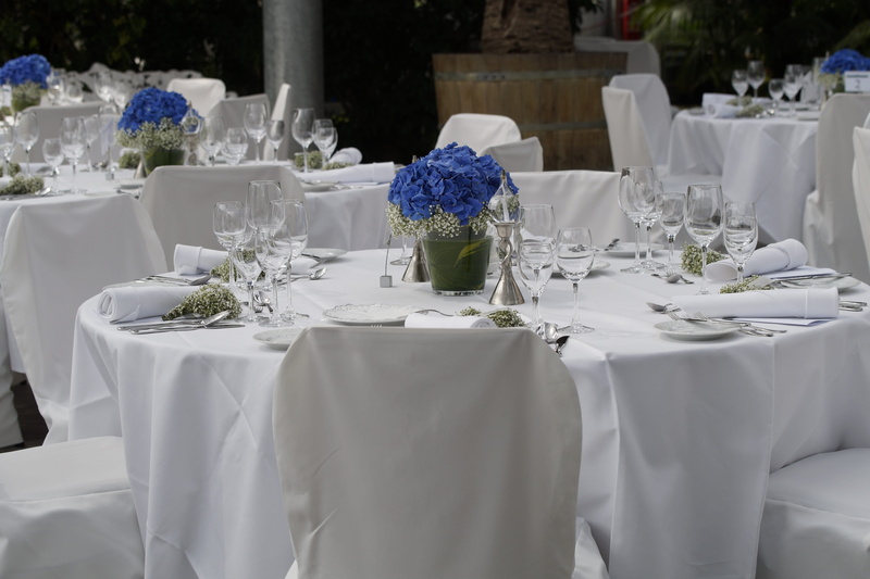 glassware, white, event, dining tables, food, household equipment, restaurant, celebrate, table, white color, drinking glass, tablecloth, flowering plant