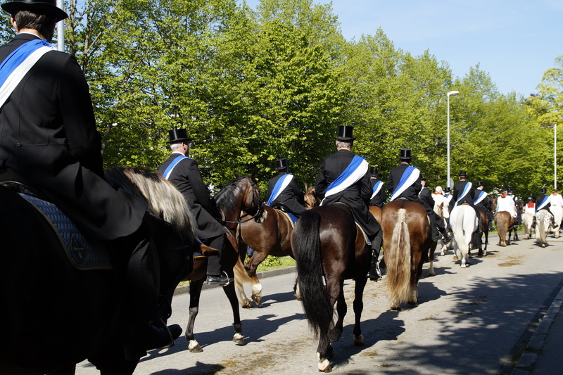 group of animals, culture, solemnly, men, reiter, vineyard, religious, religion, day, sashes, pets, blood ride, animal wildlife, tradition, monastery, relic