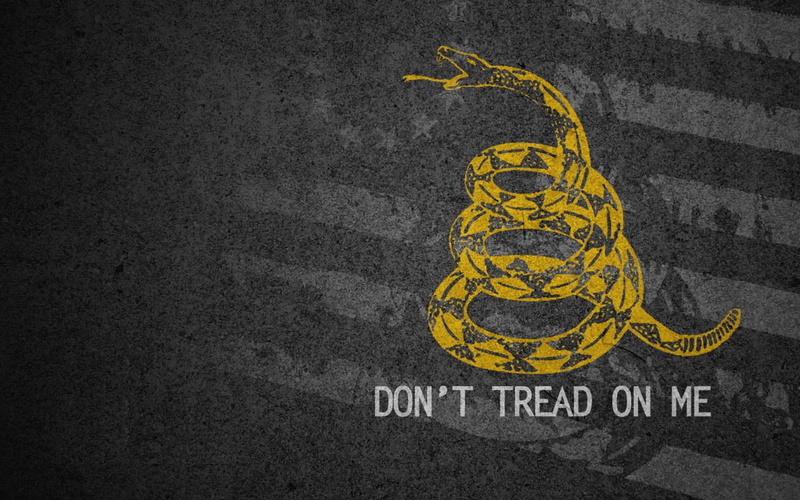 720P, Gadsden Flag, Flags