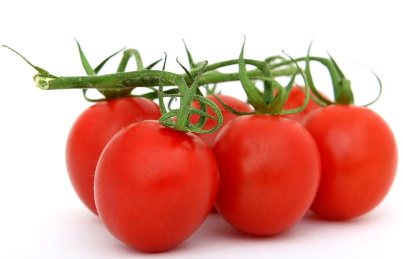 catering, healthy, tomato, picked, stalk, vegetable, fruit, green color, loss, diet, orange, toms, groceries, natural, tomatoe, tomatoes, wholesome, nature