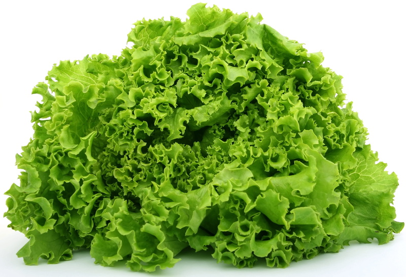 diet, good, freshness, culinary, green color, food, lettuce, no people, green, produce, food and drink, fruit, weight, healthy, nutrition, health, dieting
