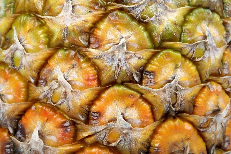 organic, pine, natural, texture, closeup, raw, full frame, kitchen, orange color, groceries, produce, dieting, stalk, catering, nutrition, ingredients