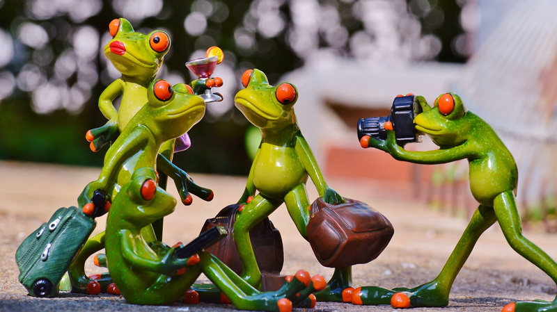 focus on foreground, photography, market, food, fun, four, frog, pose, green color, food and drink, photographer, robot, luggage, making, figurine, toy