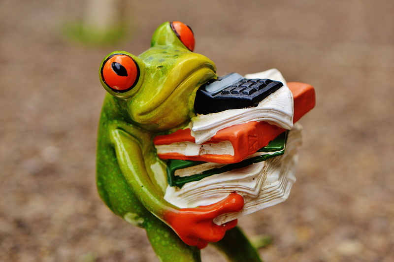 outdoors, frog, close, green, fun, files stacked, carrying, 5K, figurine, office, field, day, work, green frog, files, photo, ceramic, humor, high angle view